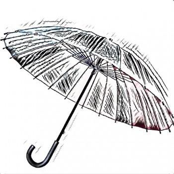 Зонты в Калининграде